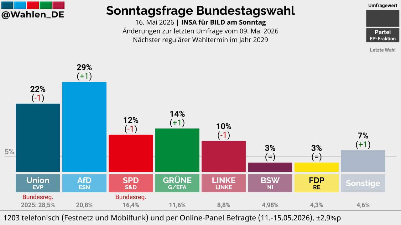 AfD Bad Driburg