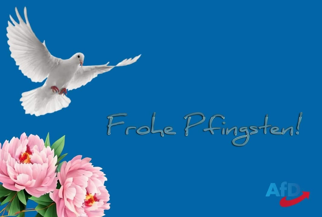 AfD Bad Driburg